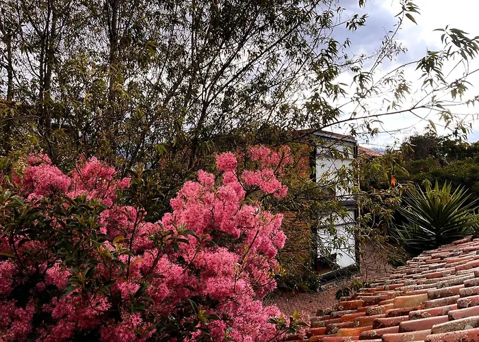 Casa Lloret