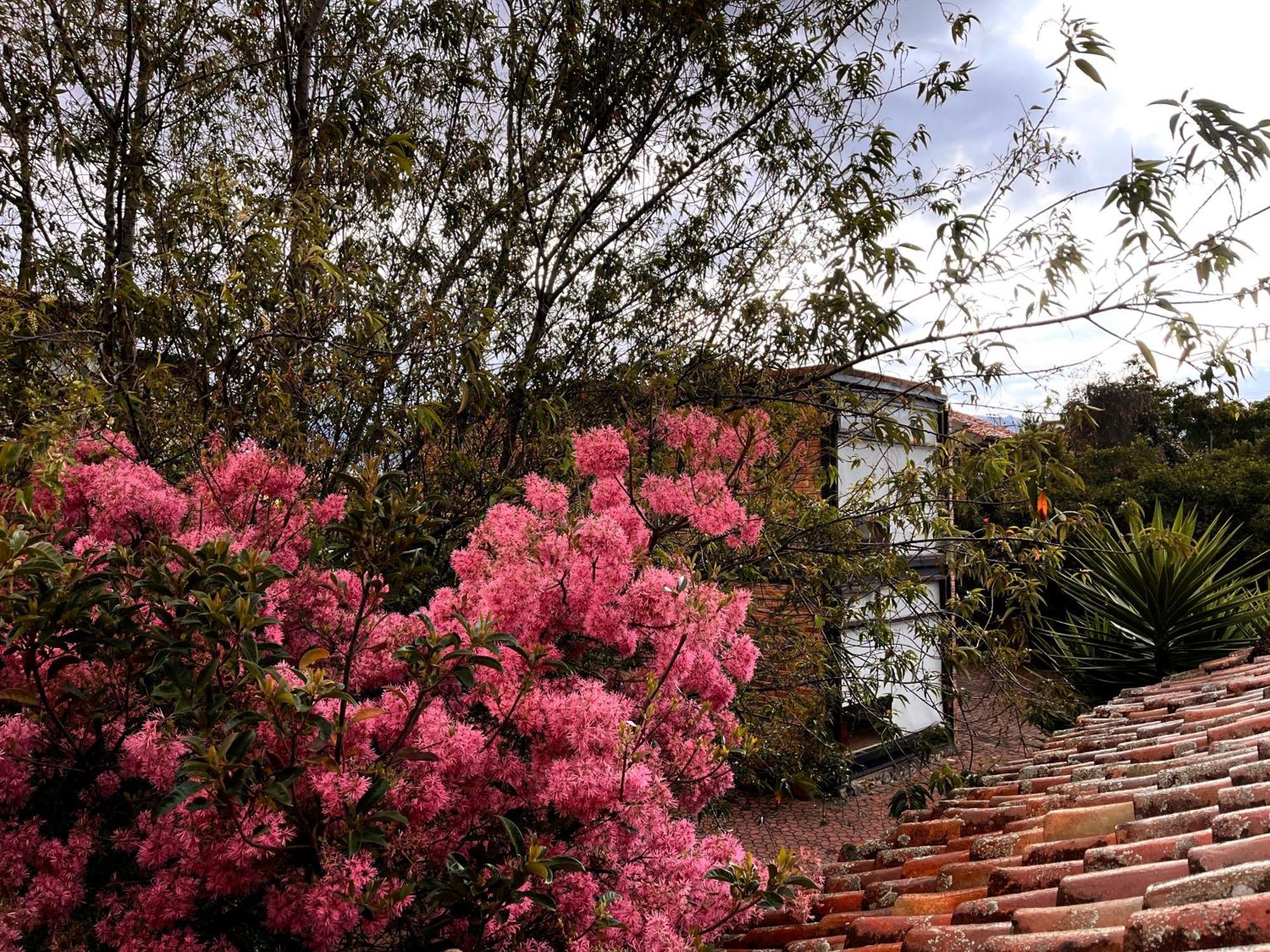 Casa Lloret Cuenca